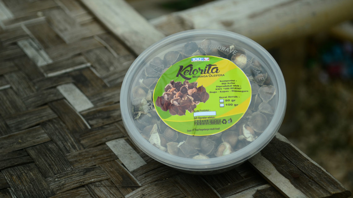 5 Olahan Kelor Khas Desa Bogo Kapas