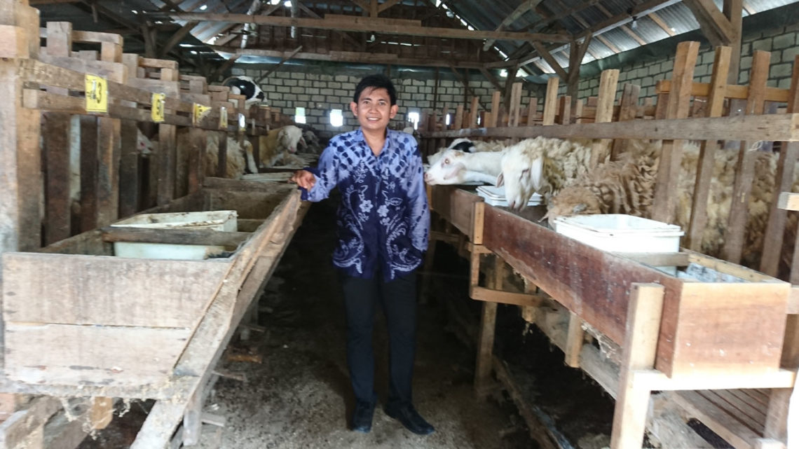 Lulus Kuliah, Pemuda ini Pilih Menggembala Kambing
