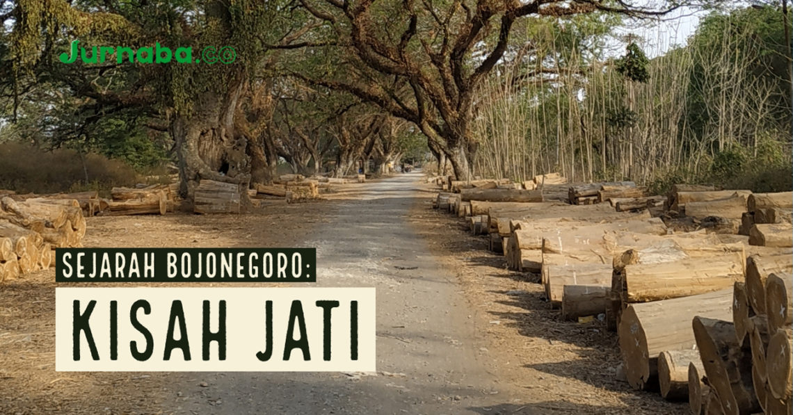 Kisah Jati dan Kehidupan Bojonegoro Era Lampau