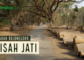 Kisah Jati dan Kehidupan Bojonegoro Era Lampau