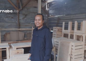 Jati Londo, Bisnis Kayu Kontemporer yang Menjanjikan