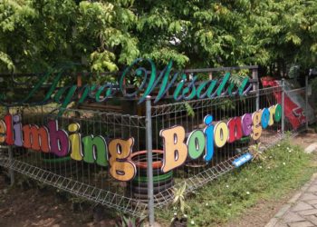 Agrowisata Belimbing Bojonegoro, Plesiran Sambil Mendekatkan Diri pada Alam