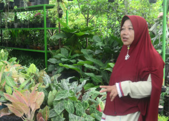 Potensi Bisnis Tanaman Hias Bojonegoro Makin Mekar