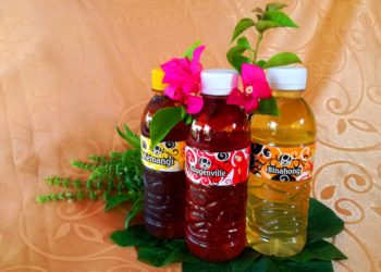 5 Olahan Teh Unik Desa Mojodeso Bojonegoro