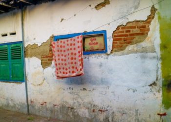 3 Pesan Filosofis dari Sehelai Kumbahan
