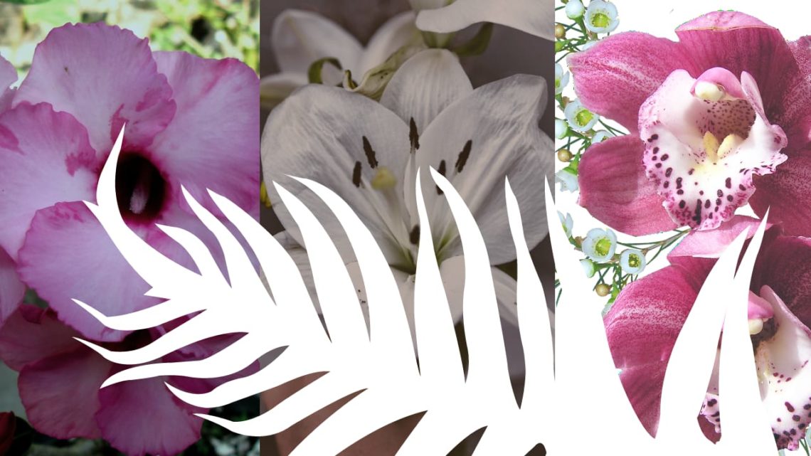 Si Peragu dan Taman Bunga di Masa Depan