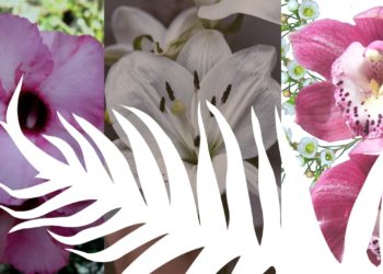 Si Peragu dan Taman Bunga di Masa Depan