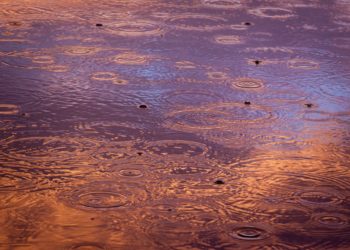 Hujan, Orkestra Langit Para Pluviophile