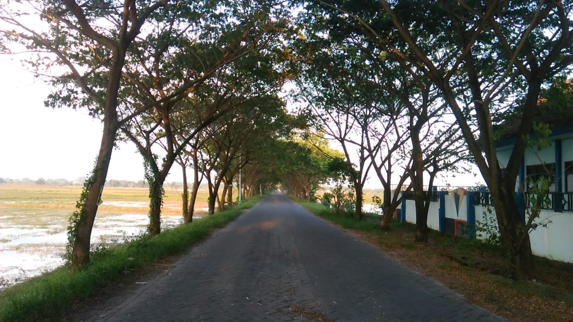 Menikmati Senja, Rindu dan Pemandangan di Sudut Bojonegoro