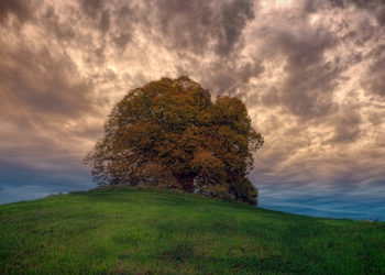 Teknik Jitu Menghadapi Musim Pancaroba dan Bagaimana Menyambut Musim Baru