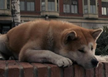 Kisah tentang Seekor Anjing yang Dermawan dan Bijaksana