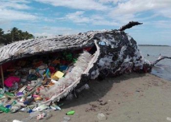 Membersihkan Gorong-gorong Bisa Jadi Cara Mengatasi Kejenuhan saat Medsos sedang Gangguan
