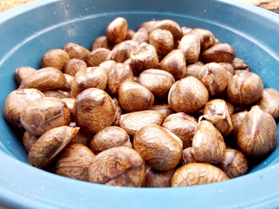 Beton Godok dan Bethem Godok, Camilan Sehat yang Perlu Kamu Tahu