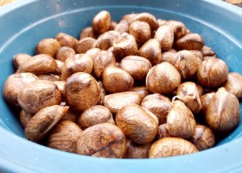 Beton Godok dan Bethem Godok, Camilan Sehat yang Perlu Kamu Tahu