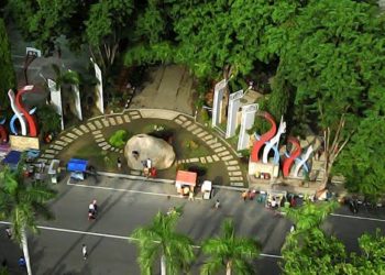 Memarkir Kendaraan, Memarkir Hidup hingga Memarkir Perasaan