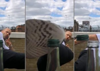 #BottleCapChallenge dan Kreativitas Penghuni Dunia Maya