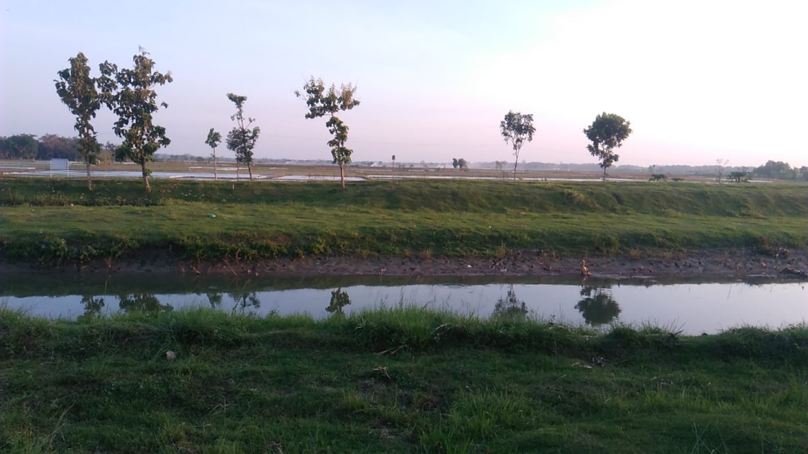 Mengenal Environmental Arts sebagai Gerakan Perubahan Lingkungan