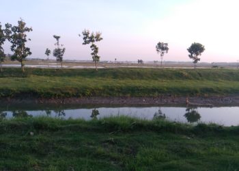 Mengenal Environmental Arts sebagai Gerakan Perubahan Lingkungan
