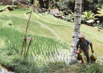 Menguak 5 Manfaat Kartu Petani Mandiri Bojonegoro