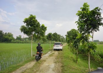 Perbaikan Jalan di Bojonegoro Dilakukan Secara Bertahap hingga 2022