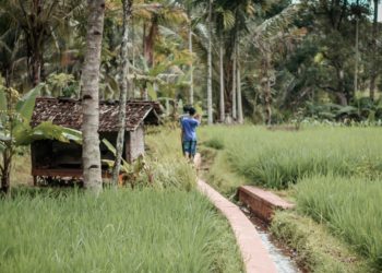 Kisah KKN di Desa Penari dan Pengalaman Berbeda Lainnya