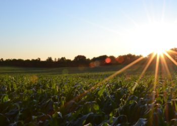 5 Tips Menjaga Kesehatan Tubuh saat Musim Kemarau