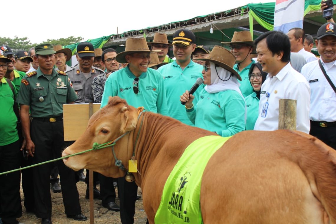 Mengembalikan Kejayaan Peternakan di Bojonegoro