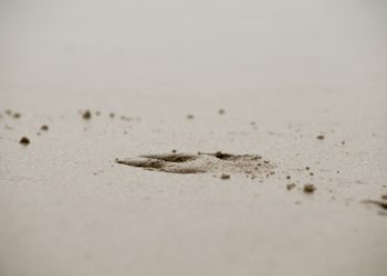 Undangan Pernikahan dan Kejutan dari Masa Lalu