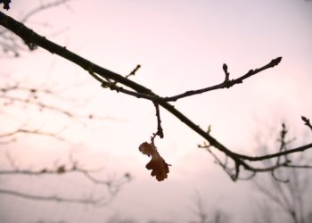 Rindu yang Berantakan