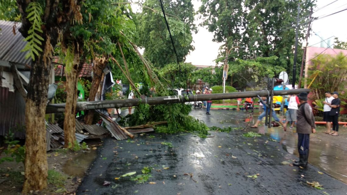 Terus Waspada terhadap Angin Kencang dan Pohon Tumbang di Bojonegoro