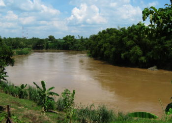 Mencari Solusi Terbaik untuk Mengatasi Pencemaran Sungai Bengawan Solo