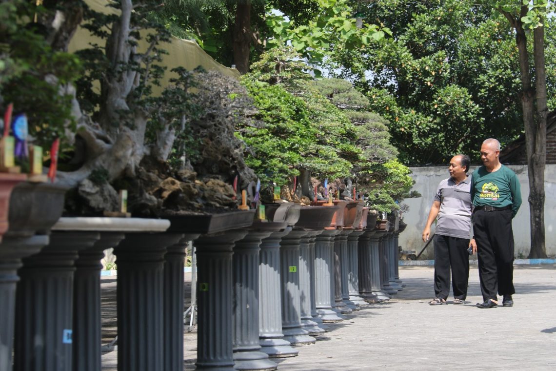 Kontes Bonsai Nasional sebagai Upaya Kembangkan Pariwisata Bojonegoro