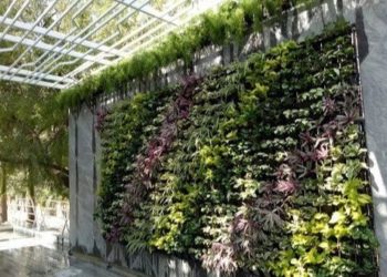 5 Faedah Vertical Garden Bojonegoro yang Mungkin Belum Kamu Sadari
