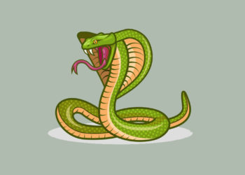 Bahaya Ular Kobra dan Semburan Bisa Mantan