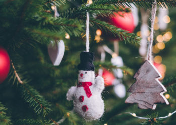 Pohon Natal untuk Danu