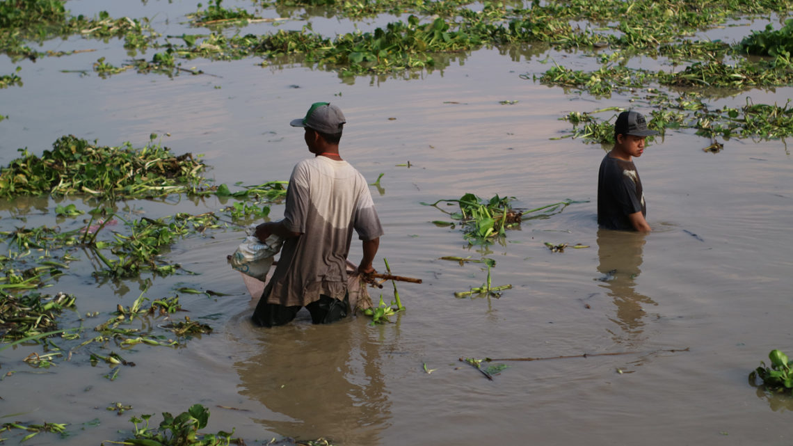 Menikmati Tradisi Munggut atau Pladu di Nggawan Bojonegoro