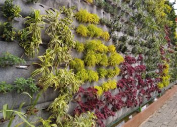 Bojonegoro dan Kota Seribu Taman