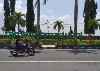 Merawat Taman Hijau agar Indah dan Penuh Kekuatan Seperti Hulk
