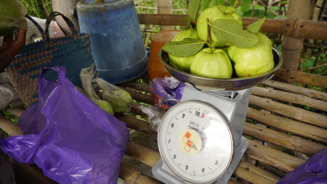 5 Manfaat Kesehatan Jambu Kristal khas Bojonegoro