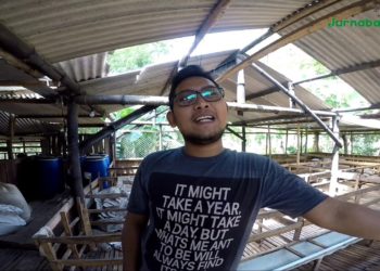 Ternak Kambing di Bojonegoro, Pemuda Ini Hasilkan 4 Milyar/Tahun