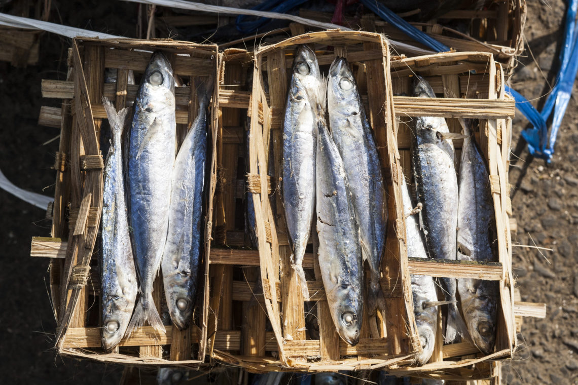 Fakta Ikan Pindang yang Wajib Kamu Tahu