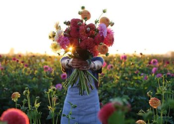 Kegagalan Menghampiri dan Saya tetap Happy dengan Apapun yang Terjadi