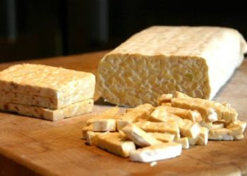 Generasi Tempe dan Penikmat Proses