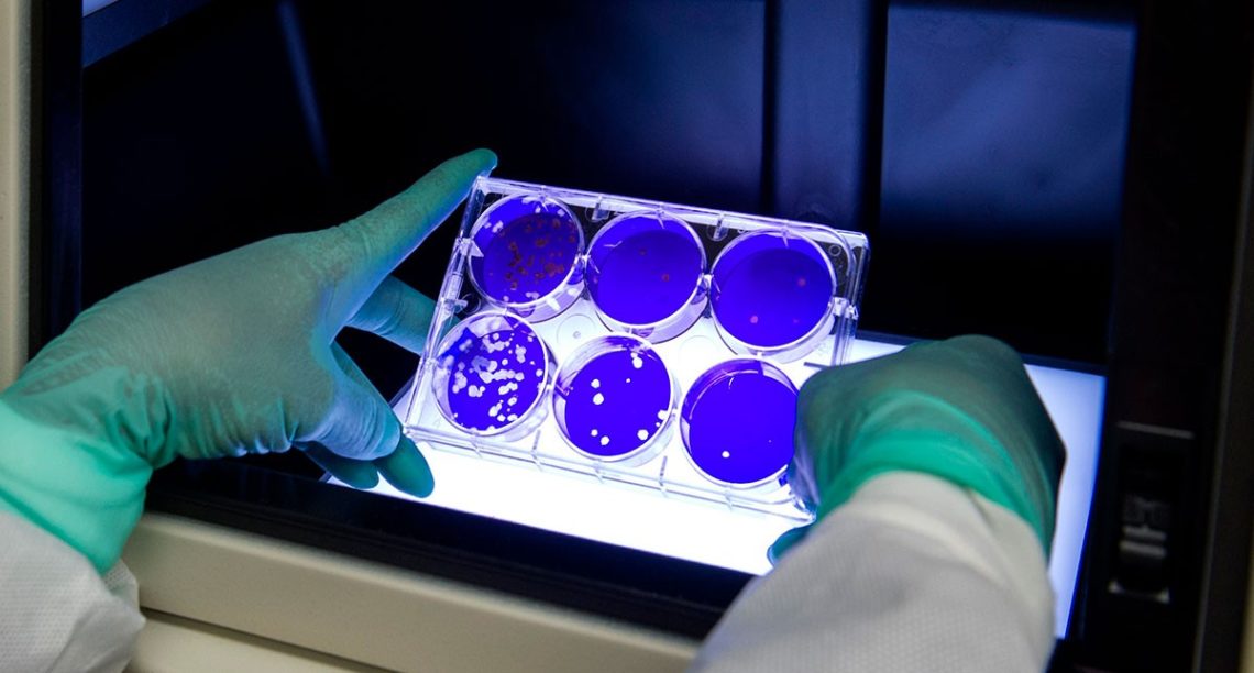 Pendekatan Sains dan Kesempatan Menarik dalam Pandemi Corona