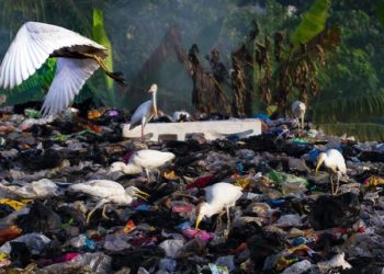 Kubler-Ross dan COVID-19 yang Sekarat