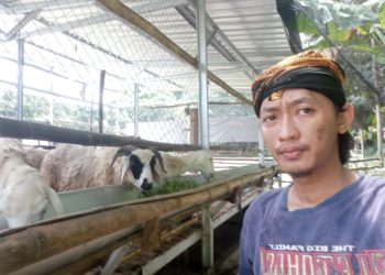 Tak Ada Panggung di Kala Pandemi