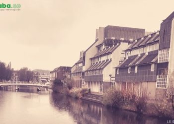 Deklarasi Cinta di Negeri Kincir Angin