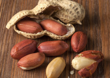 Menguak Manfaat Kulit Ari Kacang Tanah bagi Kesehatan