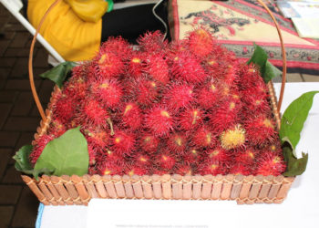 Mengenal Rambutan Tangkue yang Manis dan Mendunia