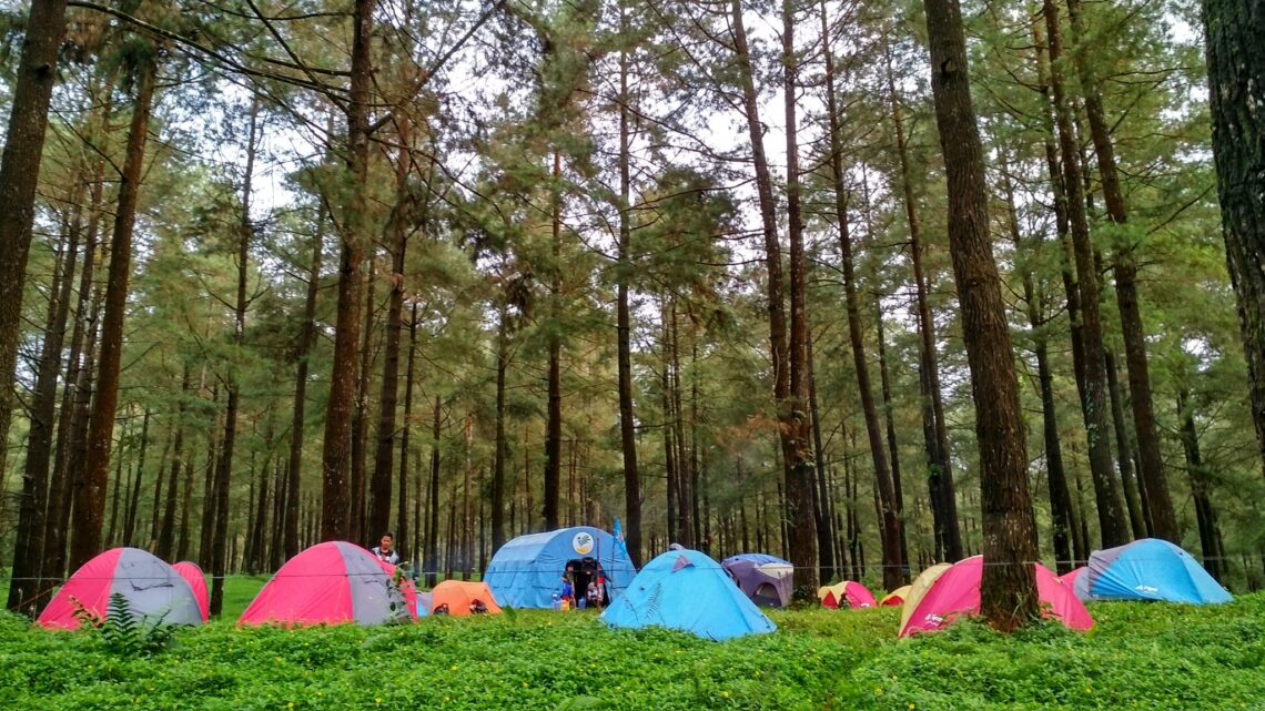 5 Jenis Wisata yang Bisa Dikembangkan di Desa